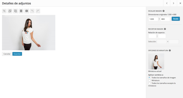WordPress nos permite realizar algunas ediciones de imagen