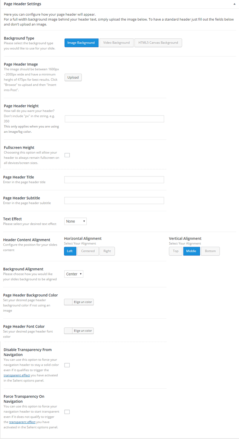 Opciones adicionales en la configuración de página de Salient Theme