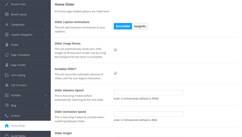 Panel de configuración general en Salient Theme - Home slider