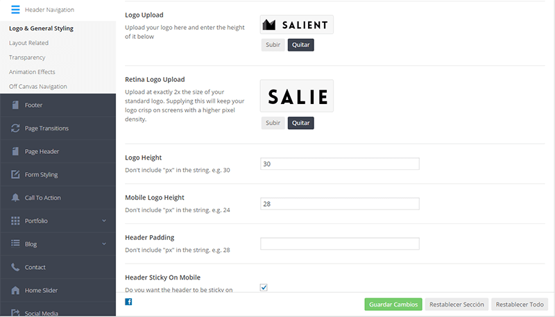 Panel de configuración general en Salient Theme - Logo & Header