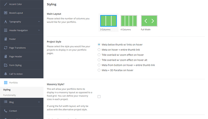 Panel de configuración general en Salient Theme - Portfolio